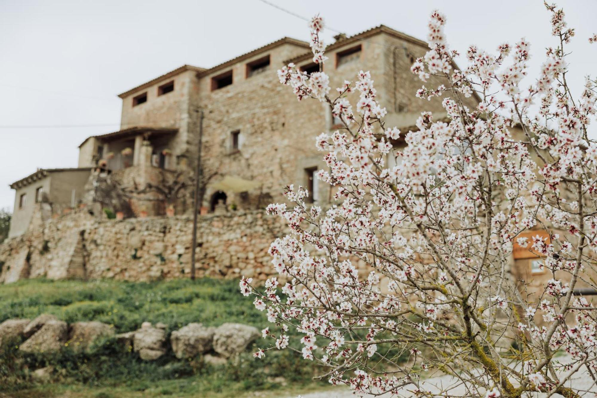 Masia Aubareda San Martín de Tous Exterior photo